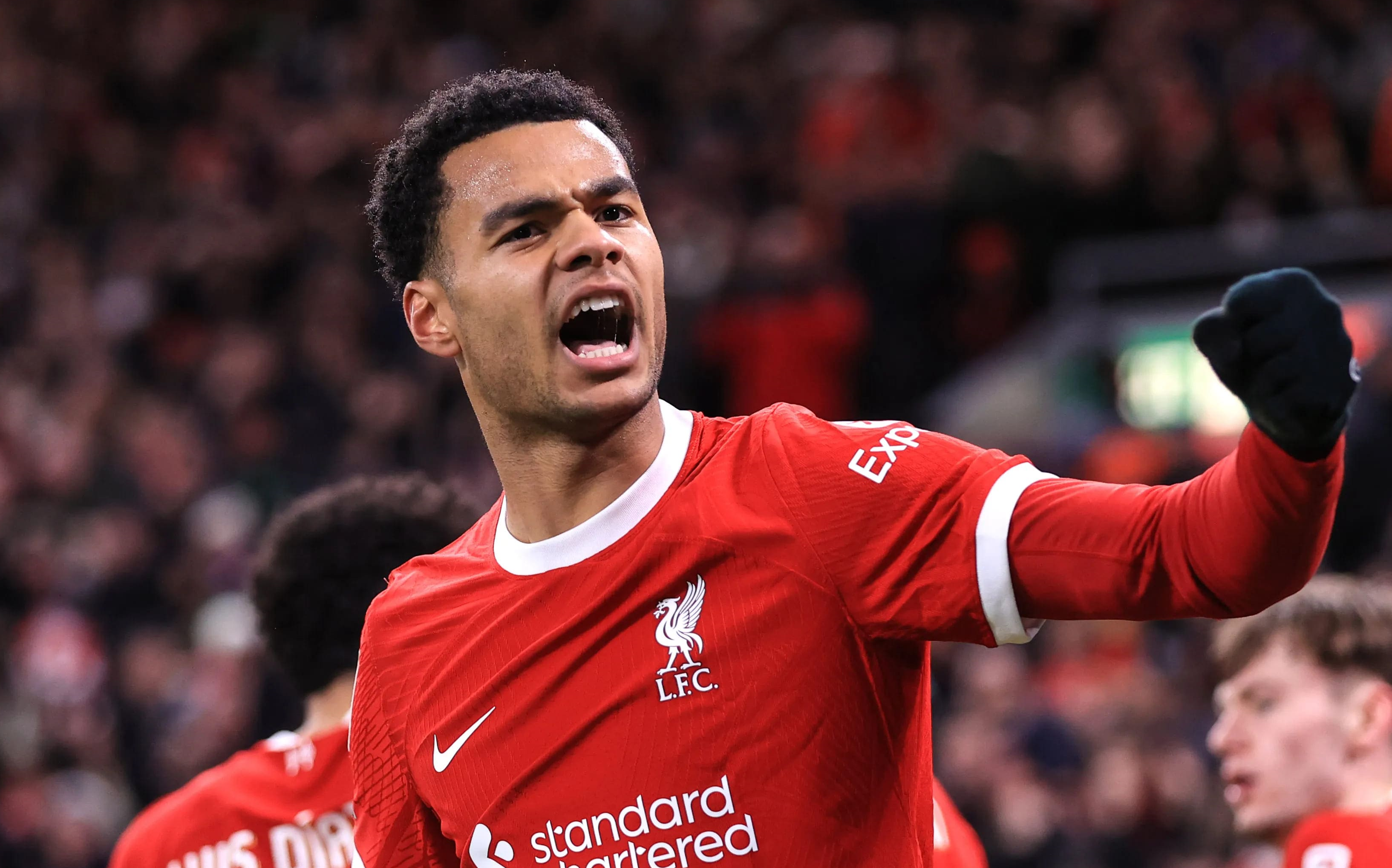 包含利物浦新援表现出色，球队雄心大增，表现亮眼的词条