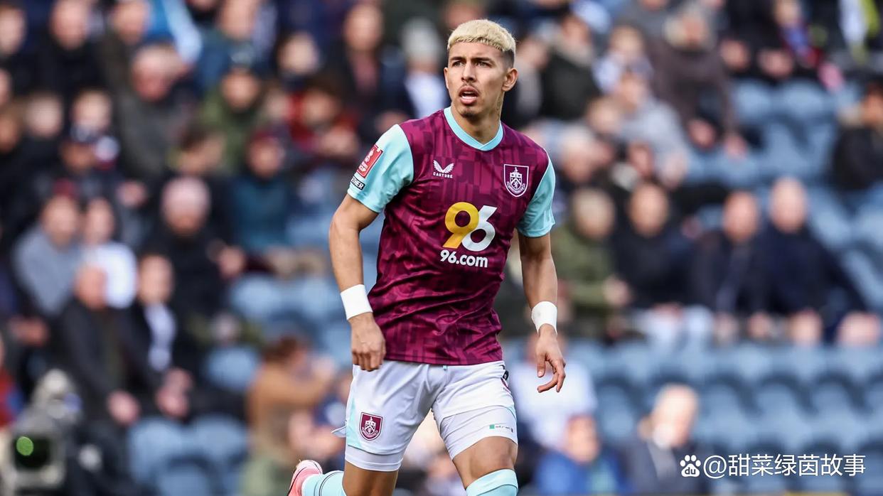 卡迪夫城主场平局：球队前进稳健，全场震撼的简单介绍