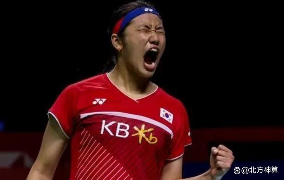 开云体育下载-法国队翻盘丹麦队，辛杜扛起全队